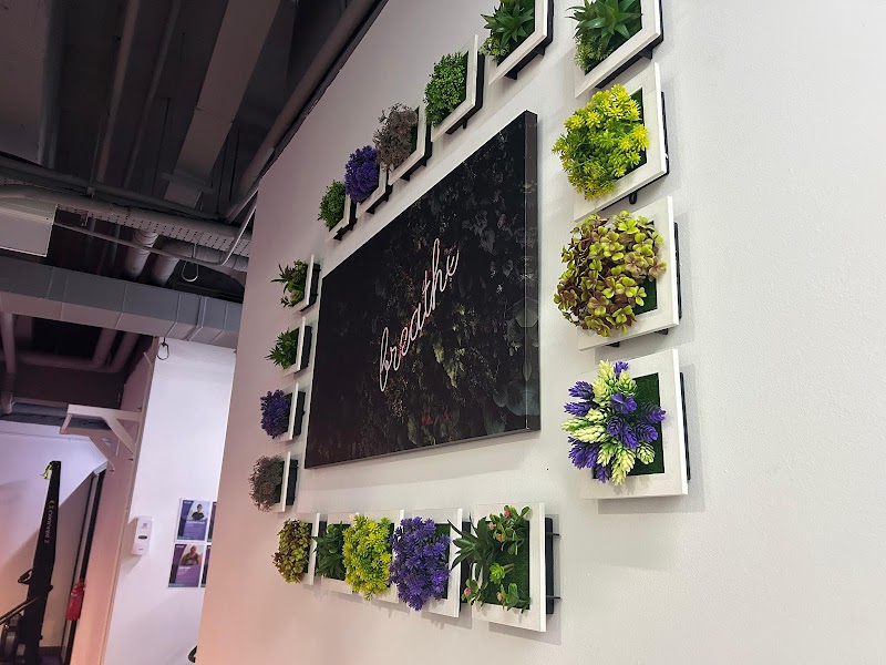 Anytime Fitness Balestier photo 4