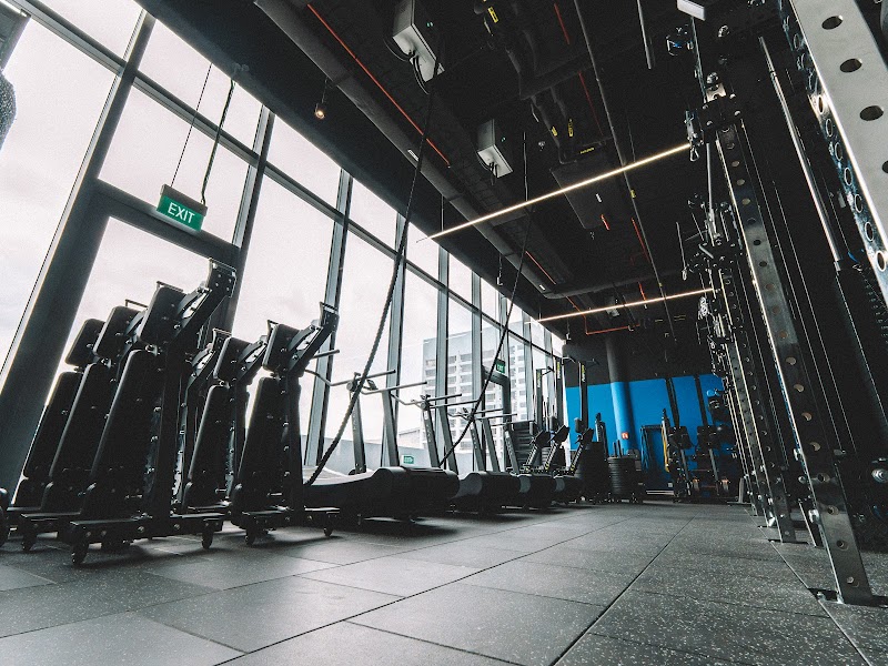 Mobilus East Coast photo 1