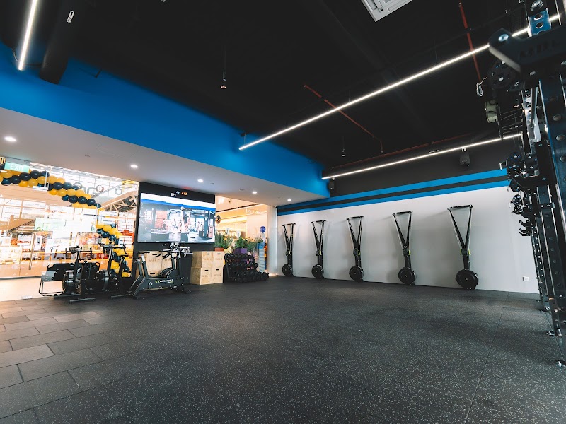 Mobilus East Coast photo 2