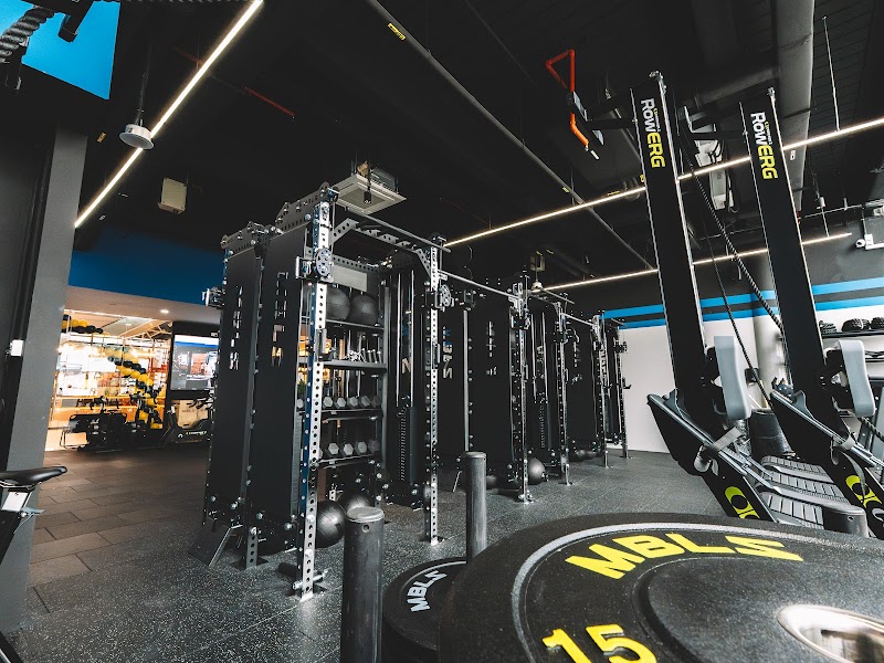 Mobilus East Coast photo 3