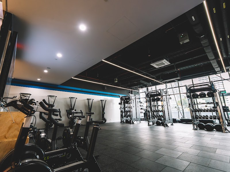 Mobilus East Coast photo 4