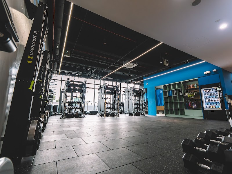 Mobilus East Coast photo 5