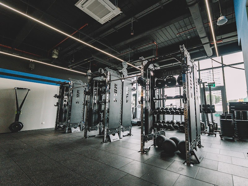 Mobilus East Coast photo 6