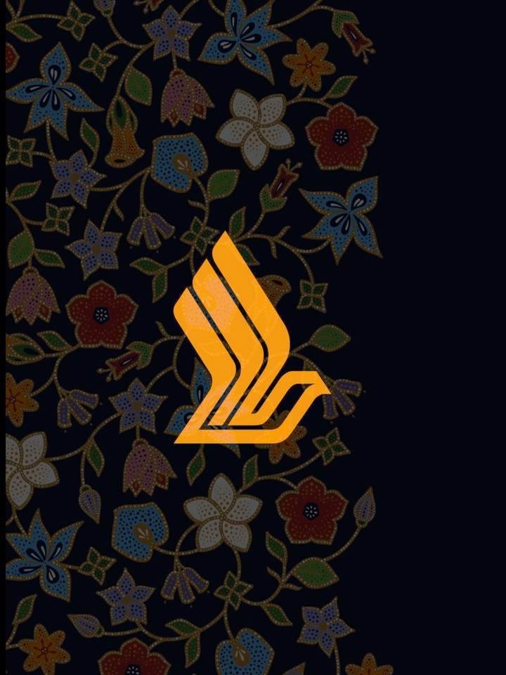 SINGAPORE AIRLINES ✈️🌍