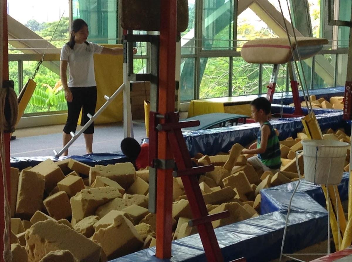 BazGym Gymnastics School