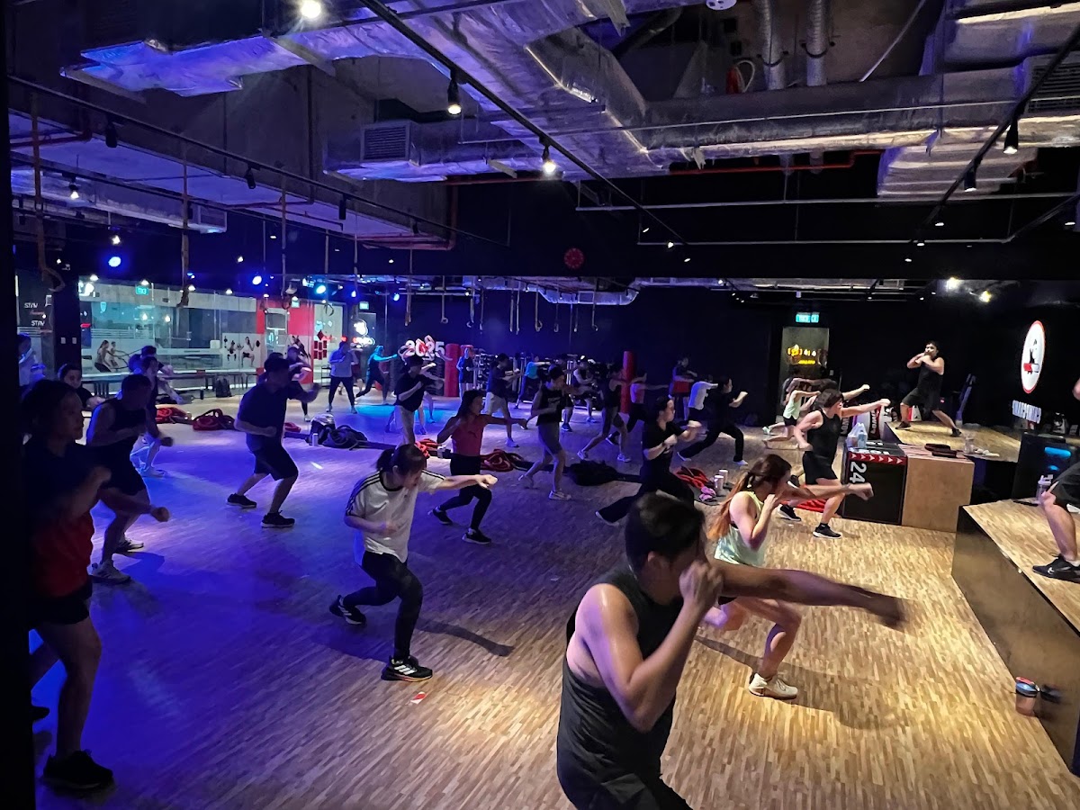 CHIMPCHAMP FITNESS (MS)