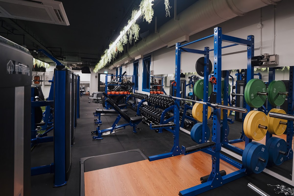 Homeground Gym