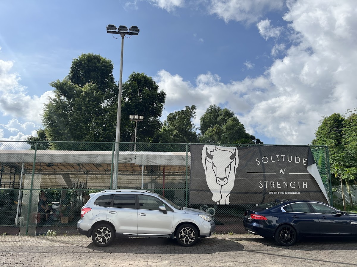 Solitude of Strength