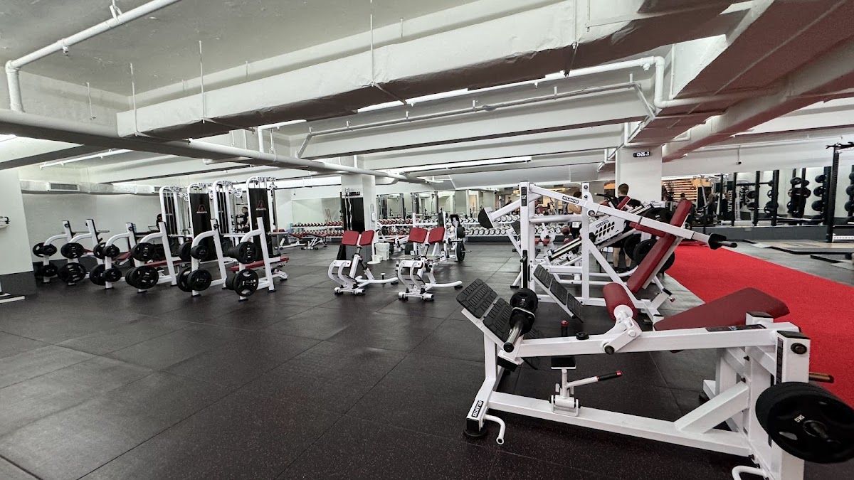 Ultimate Performance Personal Trainers Singapore Orchard