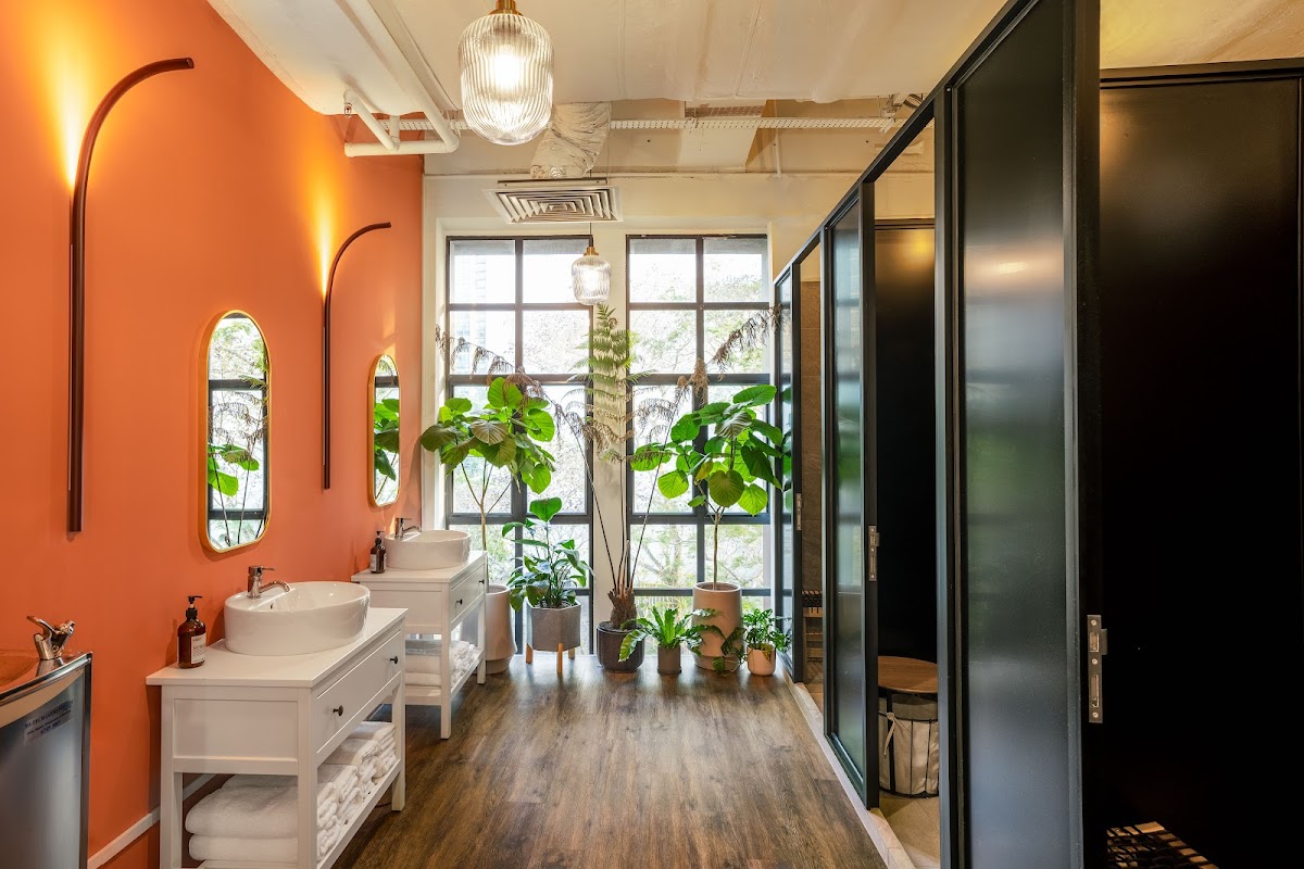 UNDIVIDED Performance (UNDVD)