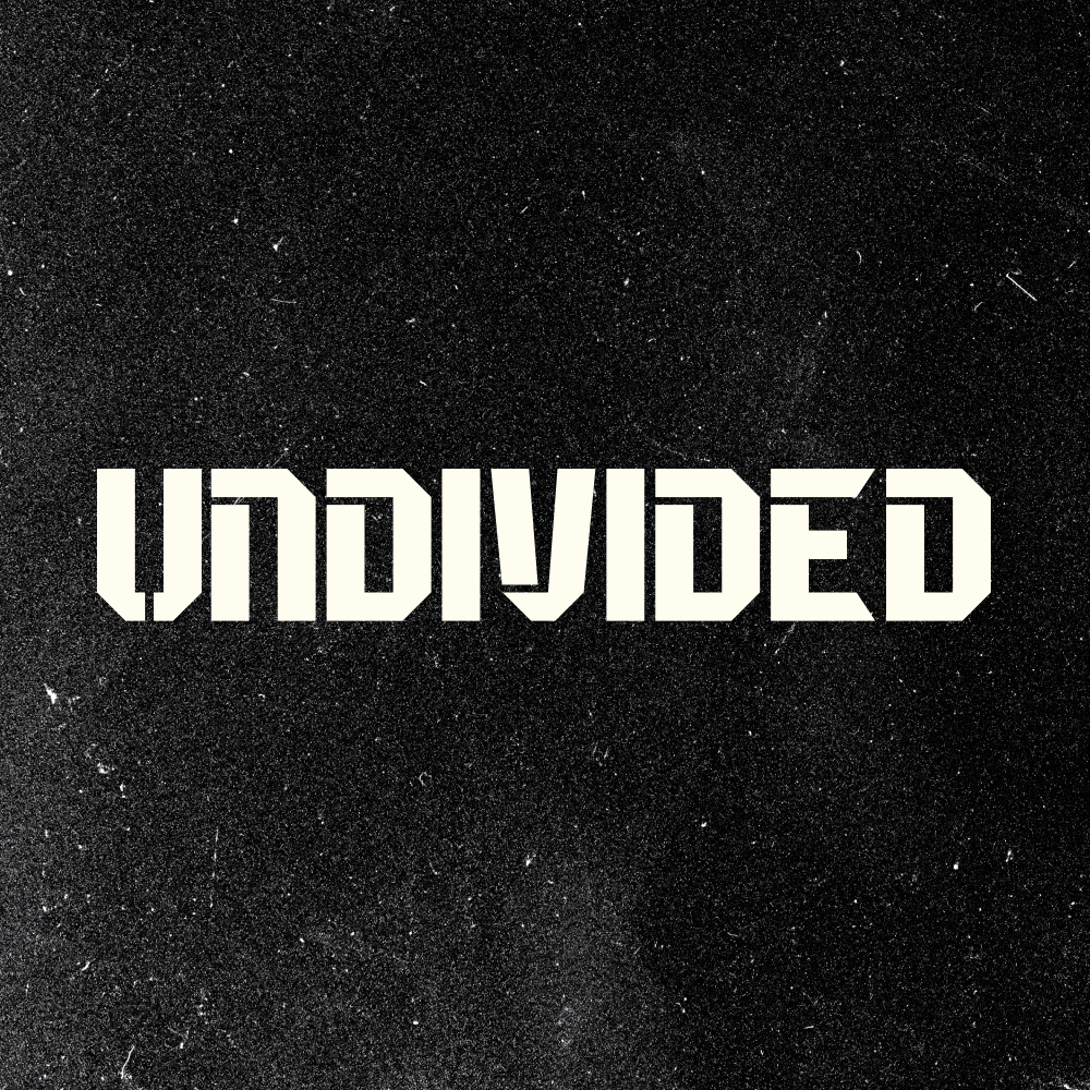 UNDIVIDED Performance (UNDVD)