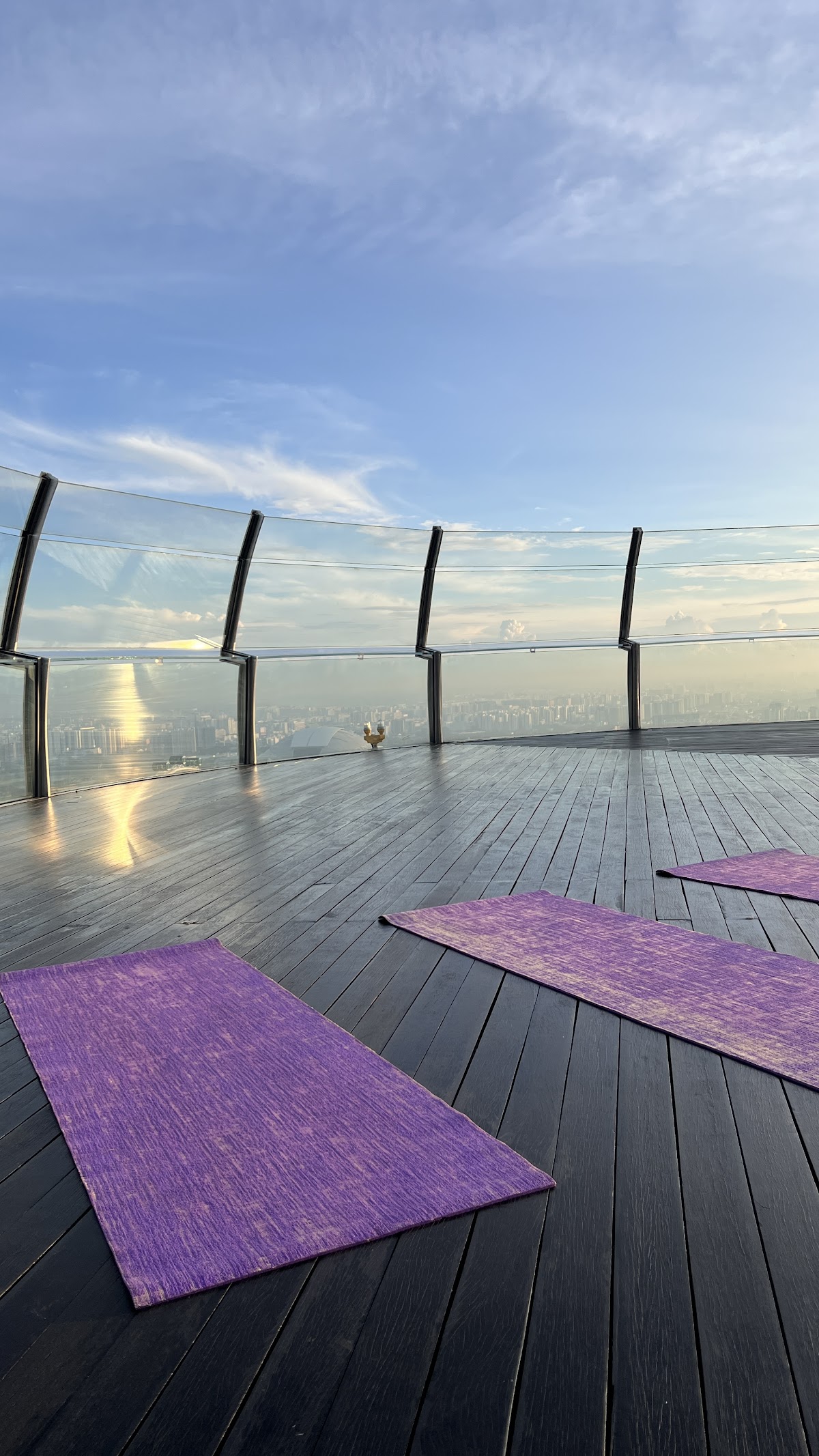 Wellness at Marina Bay Sands