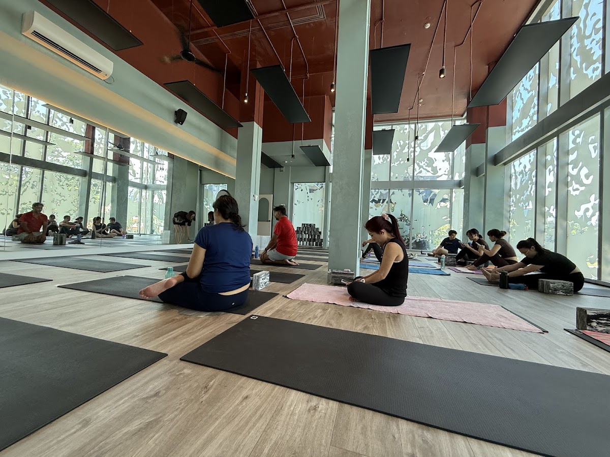 Yoga Movement Orchard